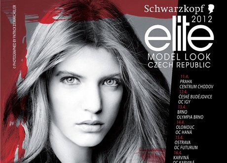 Schwarzkopf Elite Model Look 2012