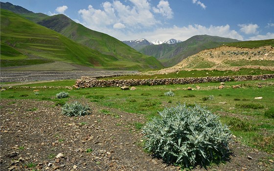 Východní Kavkaz