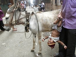 Prodava oslího mléka v mumbajském slumu demonstruje zázrané úinky svého