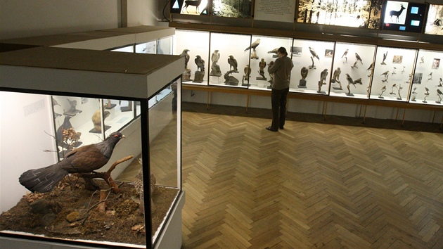 Jihoesk muzeum v eskch Budjovicch uzave prvn patro se stlmi expozicemi. Pzem bude oteveno a do zatku samotn rekonstrukce.