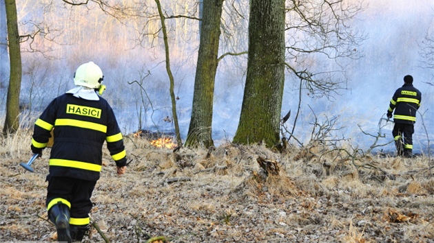 U Grygova na Olomoucku hoelo zhruba osm hektar lesnho porostu a such trvy, na mst zasahovaly tyi jednotky hasi.