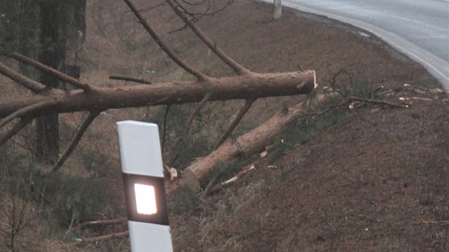 Zlodji dokonce pokceli nedaleko od obchodu strom, kterm zatarasili pjezdovou cestu. (1.3. 2012)