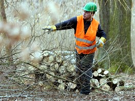 Odprci se snaí práce zbrzdit také tím, e výbr projektanta napadli u...