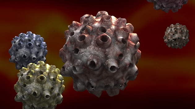 Roj virů HPV Roj virů HPV