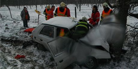 Favorit se esti lidmi narazil do staré jablon a idi v nm zstal uvznný.