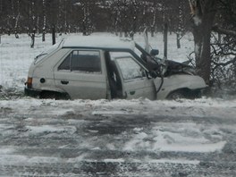 Favorit se esti lidmi narazil do star jablon a idi v nm zstal uvznn.