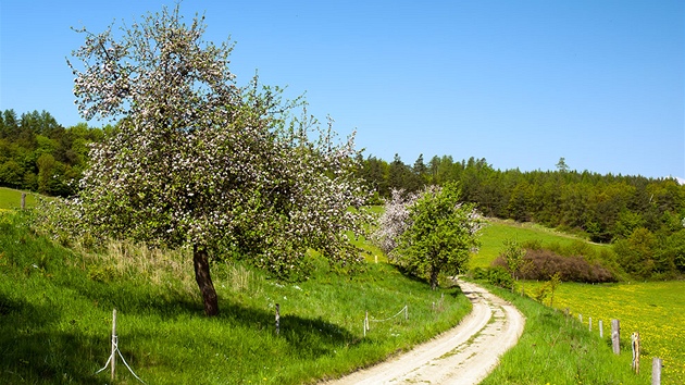 Cesta s turistickou znakou u Teletína