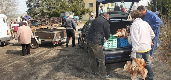 Pro slepice si pijeli do Stíova u Petic stovky chovatel.