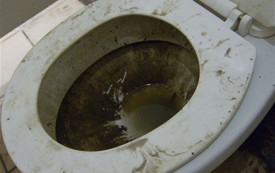 pinavá záchodová mísa na stadionu v Dillí bhem Her Commonwealthu v roce 2010.