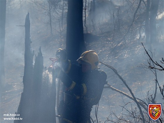 Zásah hasi pi poáru lesa u Starých Hamr v Beskydech.