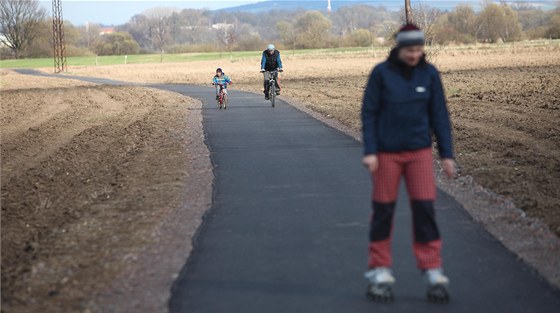 Cyklista pedjídl bruslaky a srazil enu na bruslích, která jela v protismru. (Ilustraní snímek)