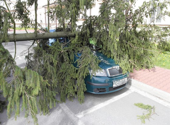 Silný vítr shodil strom na policejní vozidlo zaparkované v Moravské ulici v...