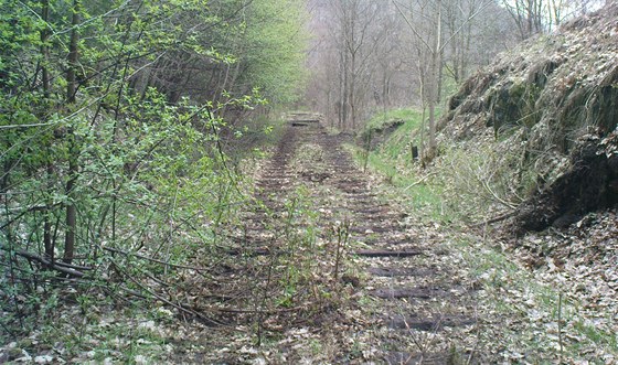 Pohled na místo na elezniní trati z Lokte do Horního Slavkova, kde zlodji...