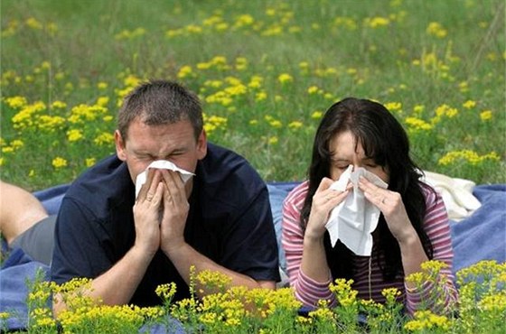 Pylová sezona je v plném proudu, alergici tak plní ekárny u léka. Ilustraní snímek