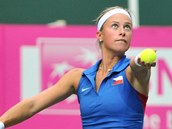 SERVIS S ELEGANC. esk tenistka Andrea Hlavkov podv ve fedcupovm utkn...