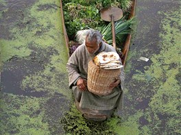 Plovoucí trh v Kamíru. Obchodník se zeleninou v Srinagaru bhem prodeje i...