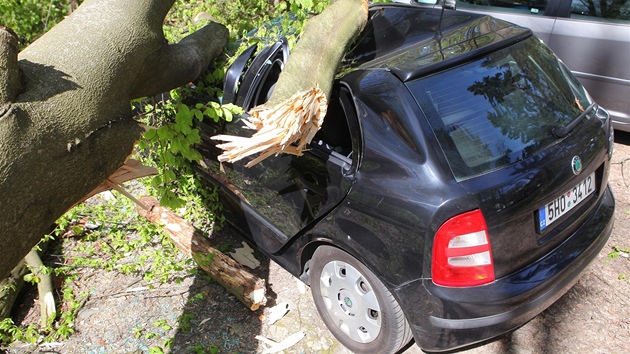 Strom zdemoloval auto na parkoviti v osad Peklo u Nového Msta nad Metují na...