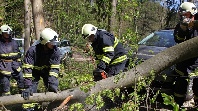 Strom zdemoloval auta na parkoviti v osad Peklo u Novho Msta nad Metuj na Nchodsku. (29. dubna 2012)