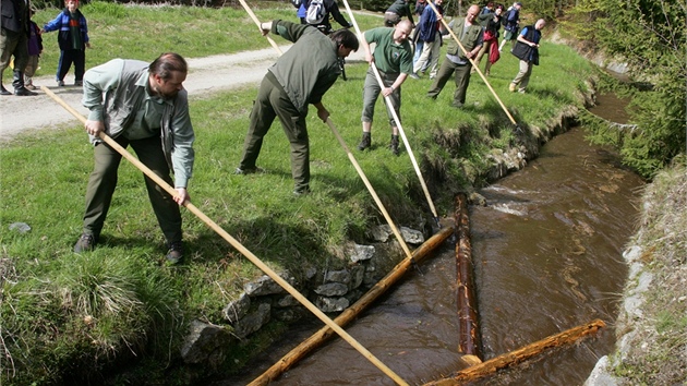 V Jelench Vrch se bude ztra plavit devo, zpvat i tanit.
Rekonstrukce se dok sek o dlce 3,2 kilometru na Zadn Zvonkov, mezi potokem Pestice a Medvdm potokem. Je to sek, o kter se od prvn svtov vlky nikdo nestaral. Podle toho to kolem kanlu vypad. Kanl je zarostl nlety strom a ke, k Josef temberk. Celkem bude nutn okolo kanlu porazit 238 strom, jejich koeny do kanlu prorostly.