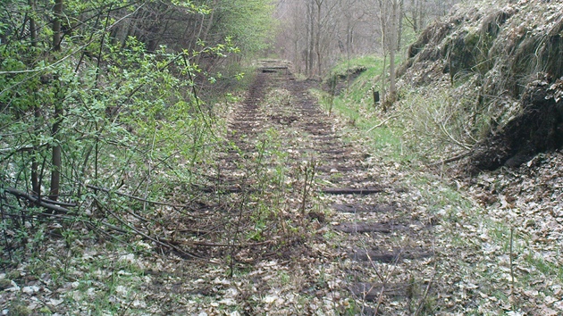 Pohled na místo na elezniní trati z Lokte do Horního Slavkova, kde zlodji...