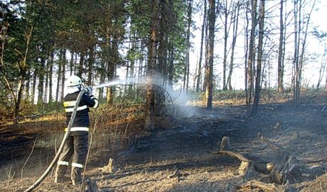 Hasii likvidovali lesní poár v Odrách-Dobeov na Novojiínsku.