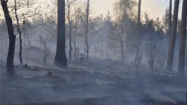 Velk lesn por, kter mus likvidovat hasii u Pemyslovic na Prostjovsku, zashl zhruba deset hektar.