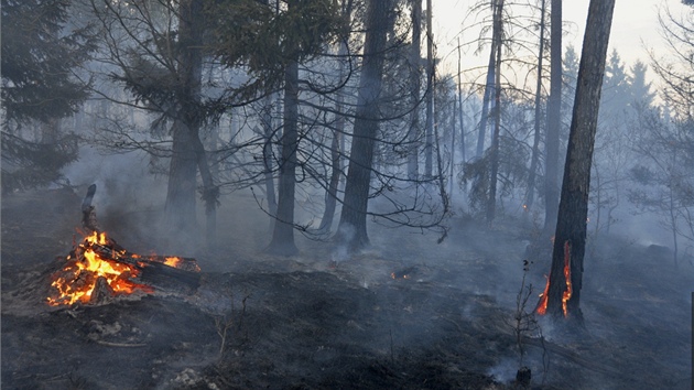 Velk lesn por, kter mus likvidovat hasii u Pemyslovic na Prostjovsku, zashl zhruba deset hektar lesa. Ho i koeny i paezy.