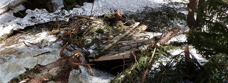 Mostek v Labské roklin nevydrel nápor lavin a vody z tajícího snhu.