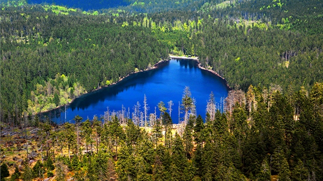 Černé jezero na Šumavě Černé jezero na Šumavě