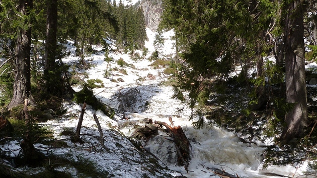 Mostek v Labsk roklin nevydrel npor lavin a vody z tajcho snhu.