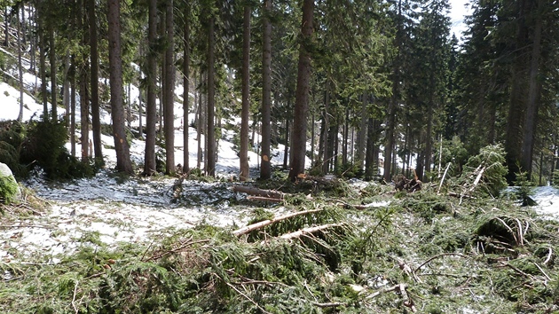 Mostek v Labské roklin nevydrel nápor lavin a vody z tajícího snhu.