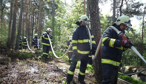 Zásah hasi u poáru lesní hrabanky v eském ráji