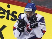 Slovensk hokejista Miroslav atan slav druh gl, kter v semifinlovm