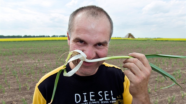 Farmá Pavel Re na svém esnekovém poli v Bratkovicích. 