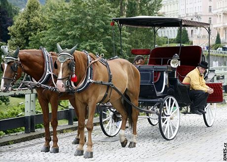 Koí, jeho kon ve Dvoe Králové pokodili zaparkované auto, odmítl dechovou zkouku na alkohol i odbr krve. (Ilustraní snímek)