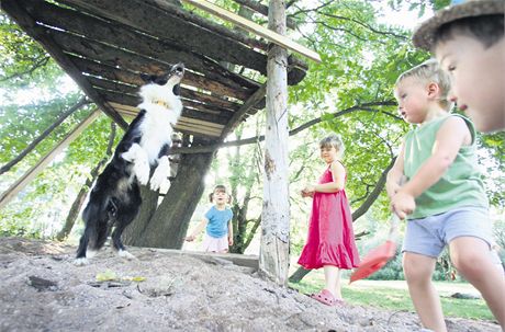 Dti v lesní kolce v Tebosicích tráví vtinu dne v lesíku. Spolenost pi