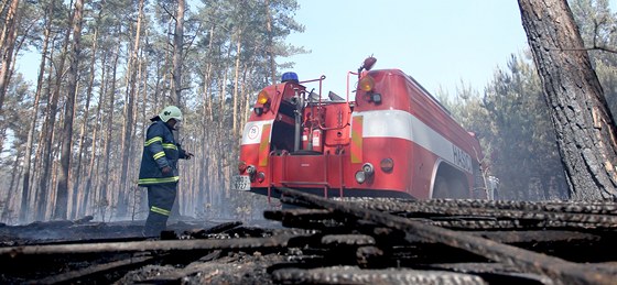 Lesní poár u Bzence na Hodonínsku. Plameny zasáhly a 200 hektar borovic. 