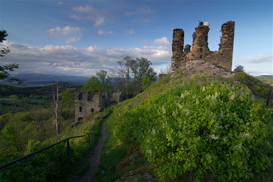 Zícenina hradu Andlská Hora