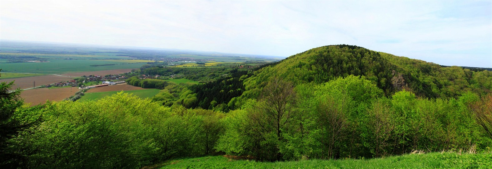 Výhled z hradu Lichnice na vrchol Strán a rovinu u Ronova nad Doubravou. 