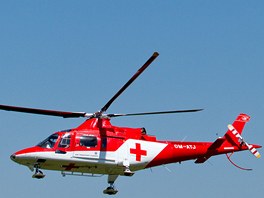 Helicopter show 2012