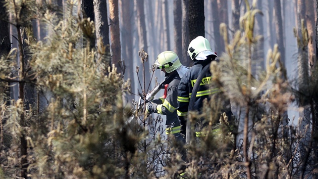 Lesní poár u Bzence na Hodonínsku. Plameny zasáhly a 200 hektar borovic. 