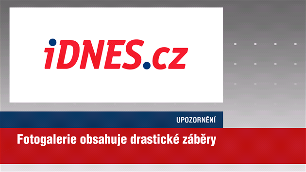 Z usedlosti v osad Mník na Olomoucku nechala litovelská radnice na popud veterinární správy odvézt kon týrané nkolik msíc hlady. Zamíili do náhradní pée.