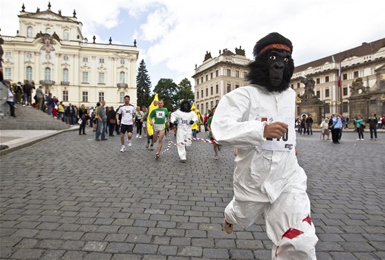 Z tetího roníku Bhu pro gorily (2. ervna 2012)