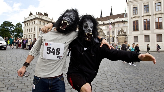 Tetí roník Bhu pro gorily (2. ervna 2012)