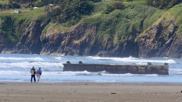 Molo, kter se utrhlo z japonskho pstavu pi loskm zemtesen, piplulo na pl Agate v americkm stt Oregon (6. ervna 2012)