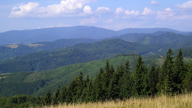 Stolica z hebenovky Slovenskho rudoho