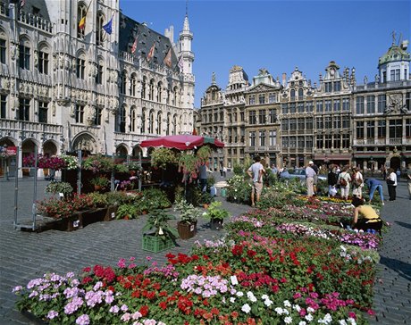 Kvtinov trh v na bruselskm Grand Place