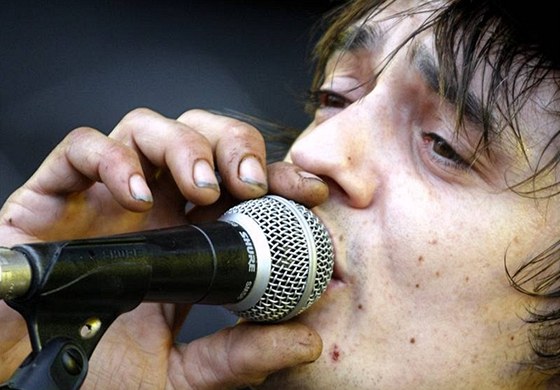 Pete Doherty na festivalu Sziget (2008)