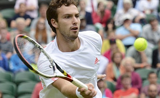 Ernests Gulbis