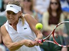 PEKVAPEN. Jelena Vesninov porazila v prvnm kole Wimbledonu Venus